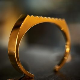 Mateo Picard - Arthus-Bertrand